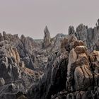 wilde Nordküste der Ile d' Ouesant, Bretagne