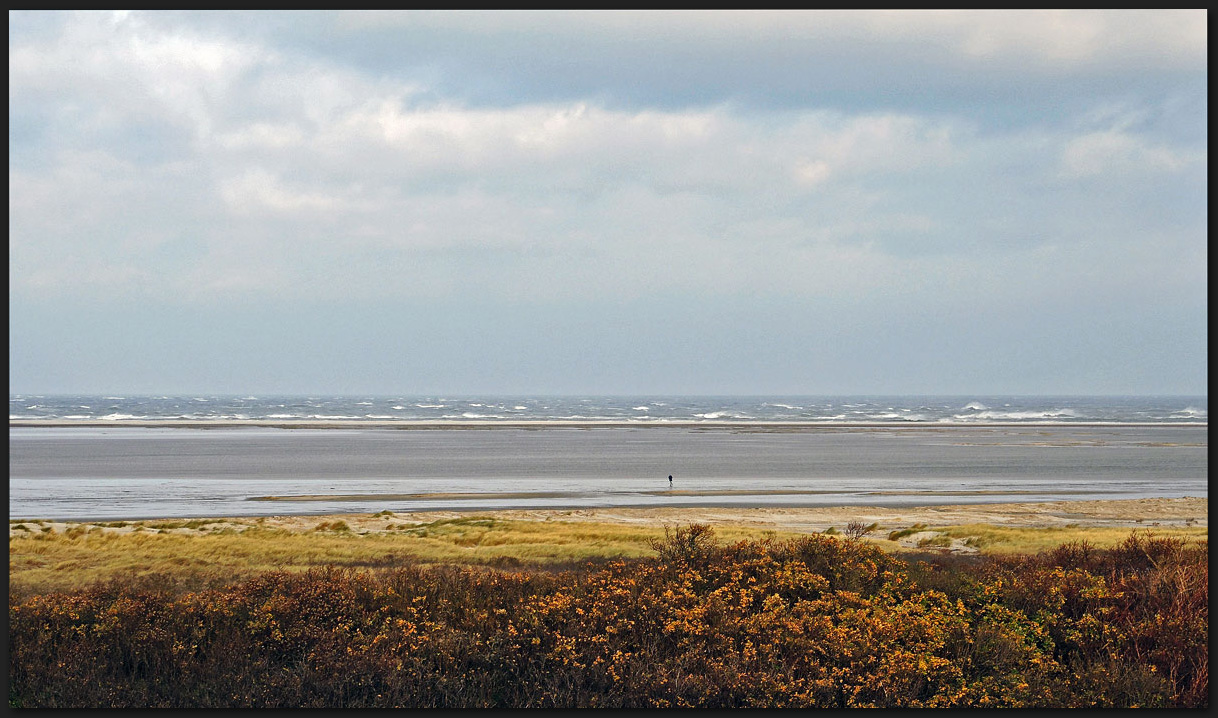 Wilde Nordsee