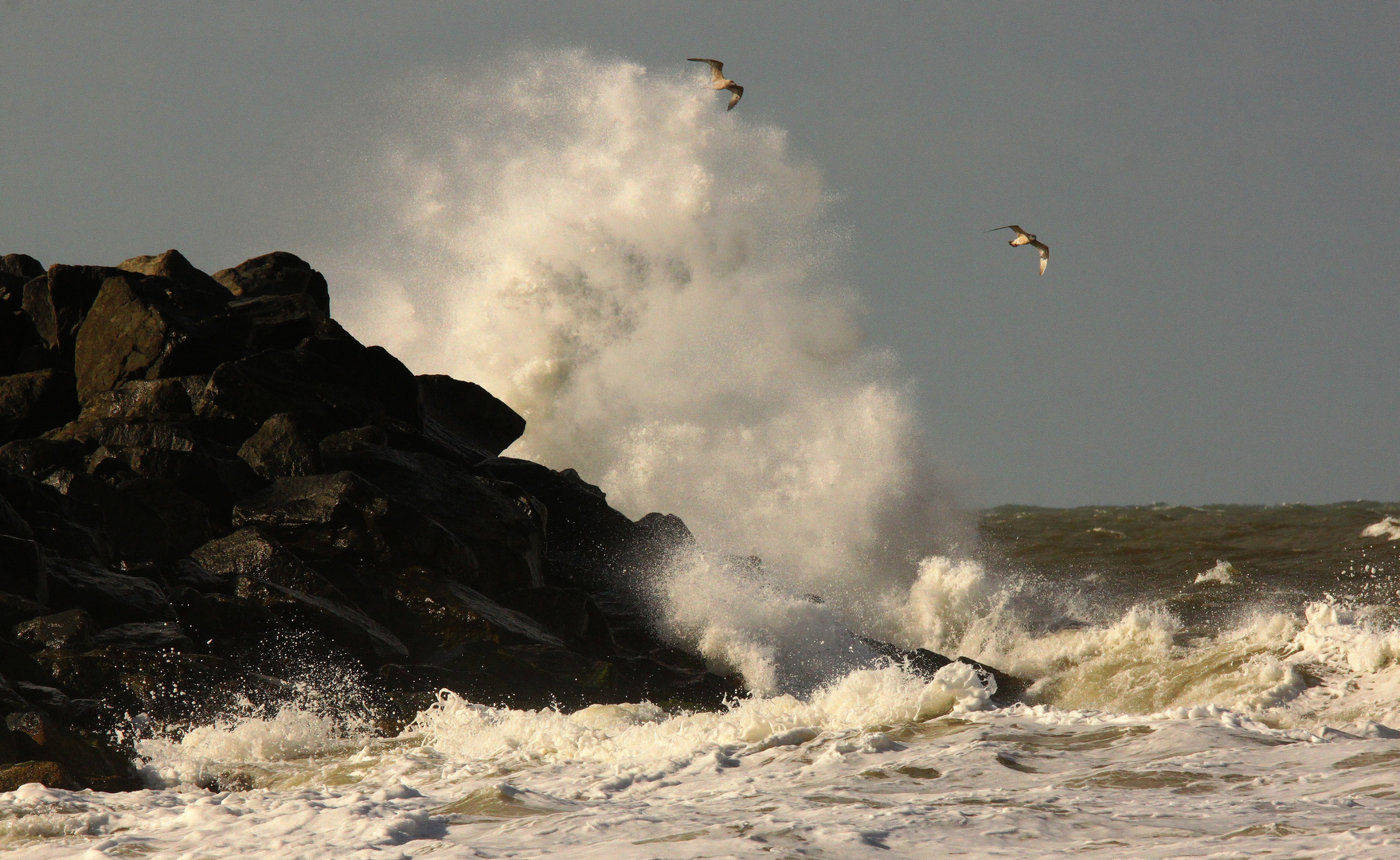 Wilde Nordsee