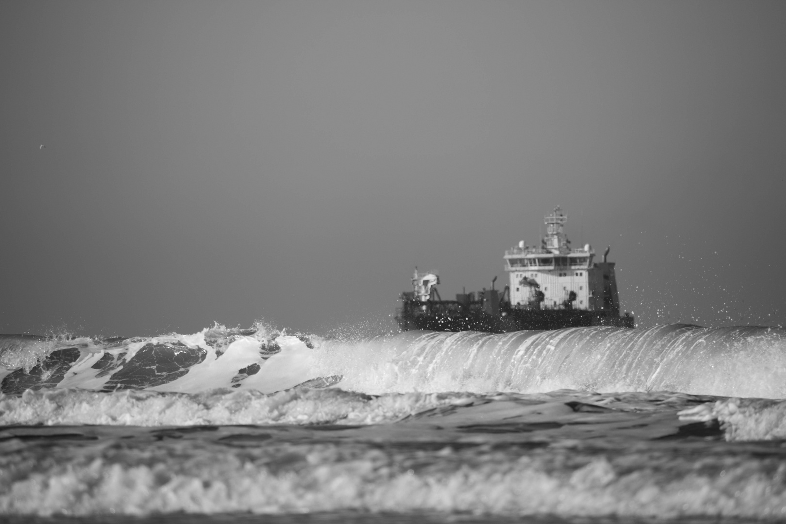 Wilde Nordsee