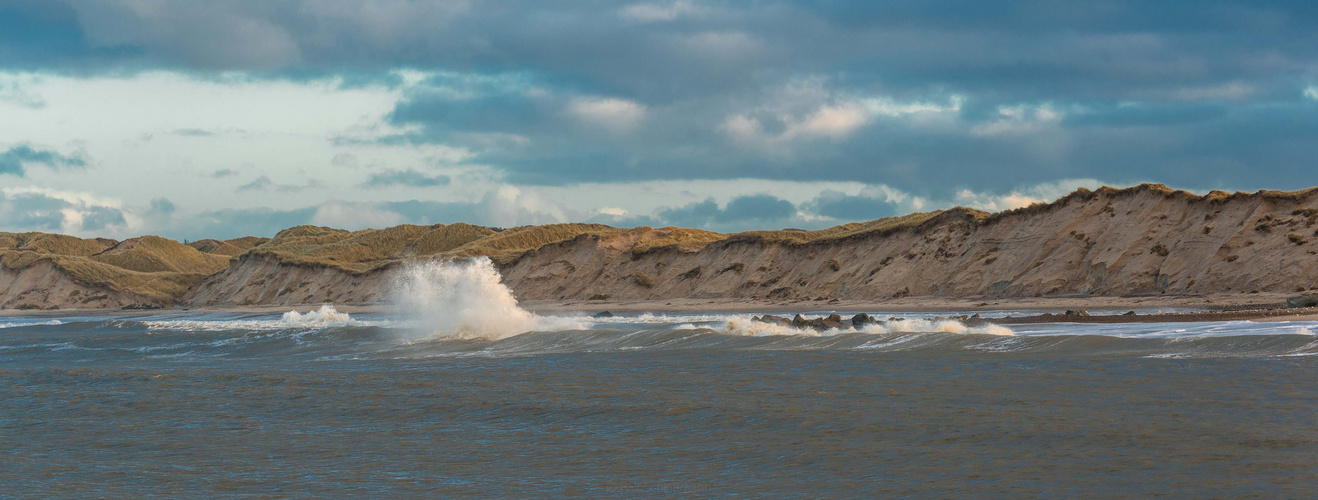 wilde Nordsee