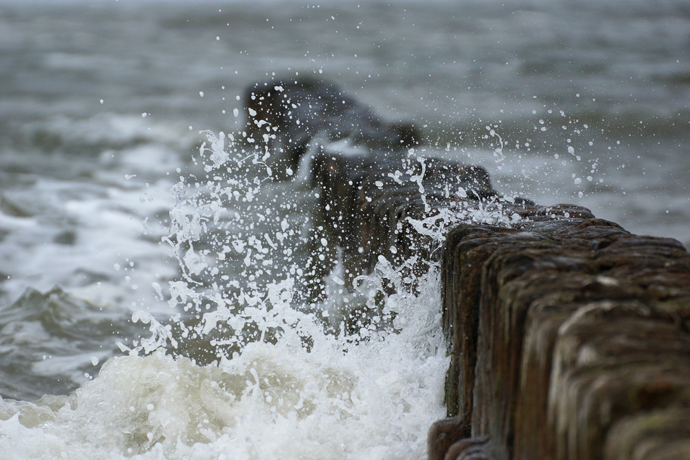 Wilde Nordsee