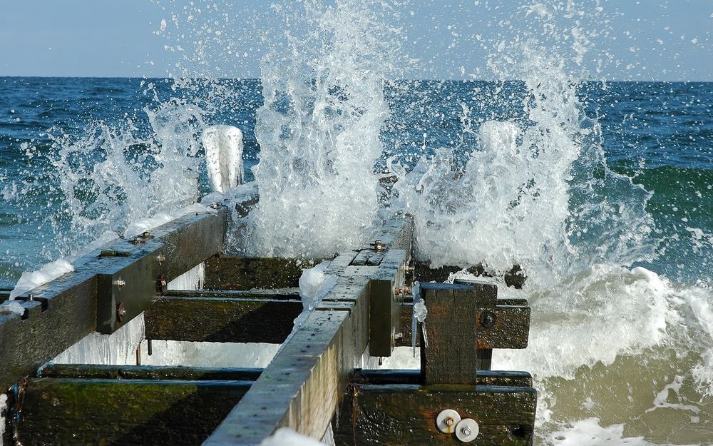 Wilde Ostsee von Horst-Dieter Petrusch 