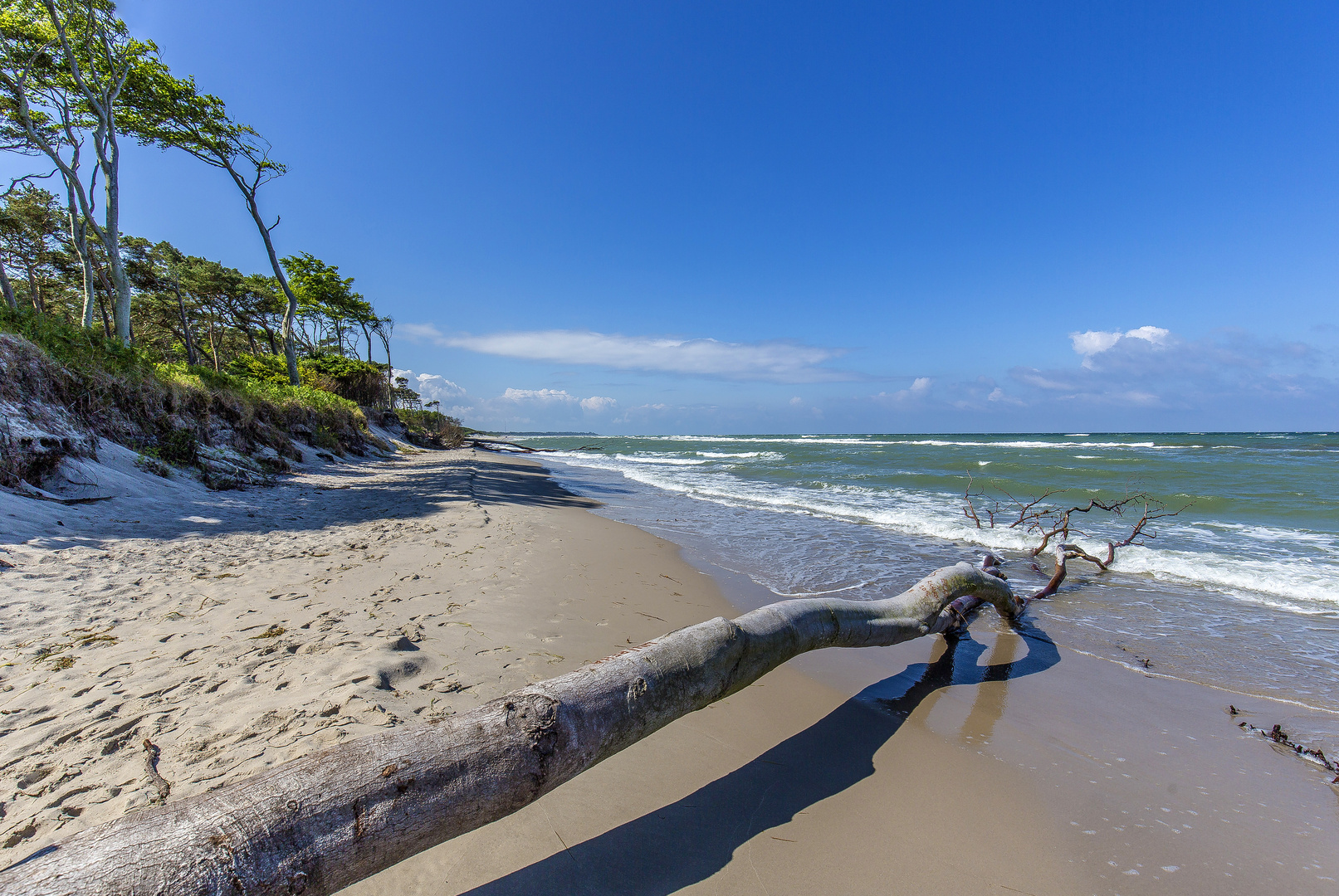 wilde Ostsee