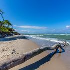 wilde Ostsee