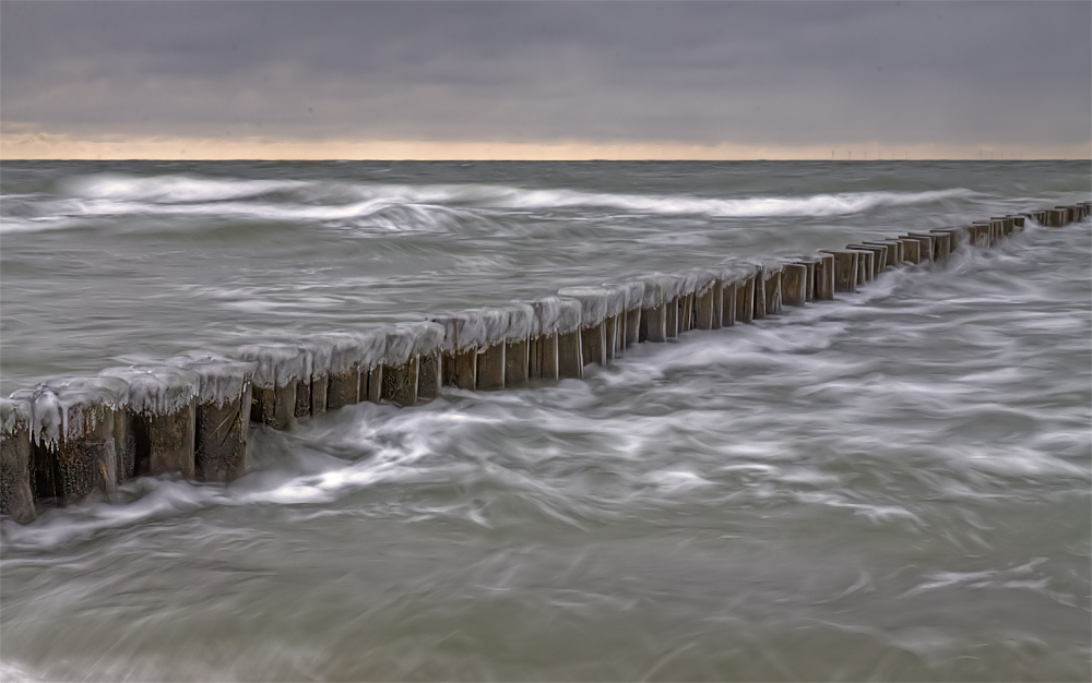 wilde Ostsee