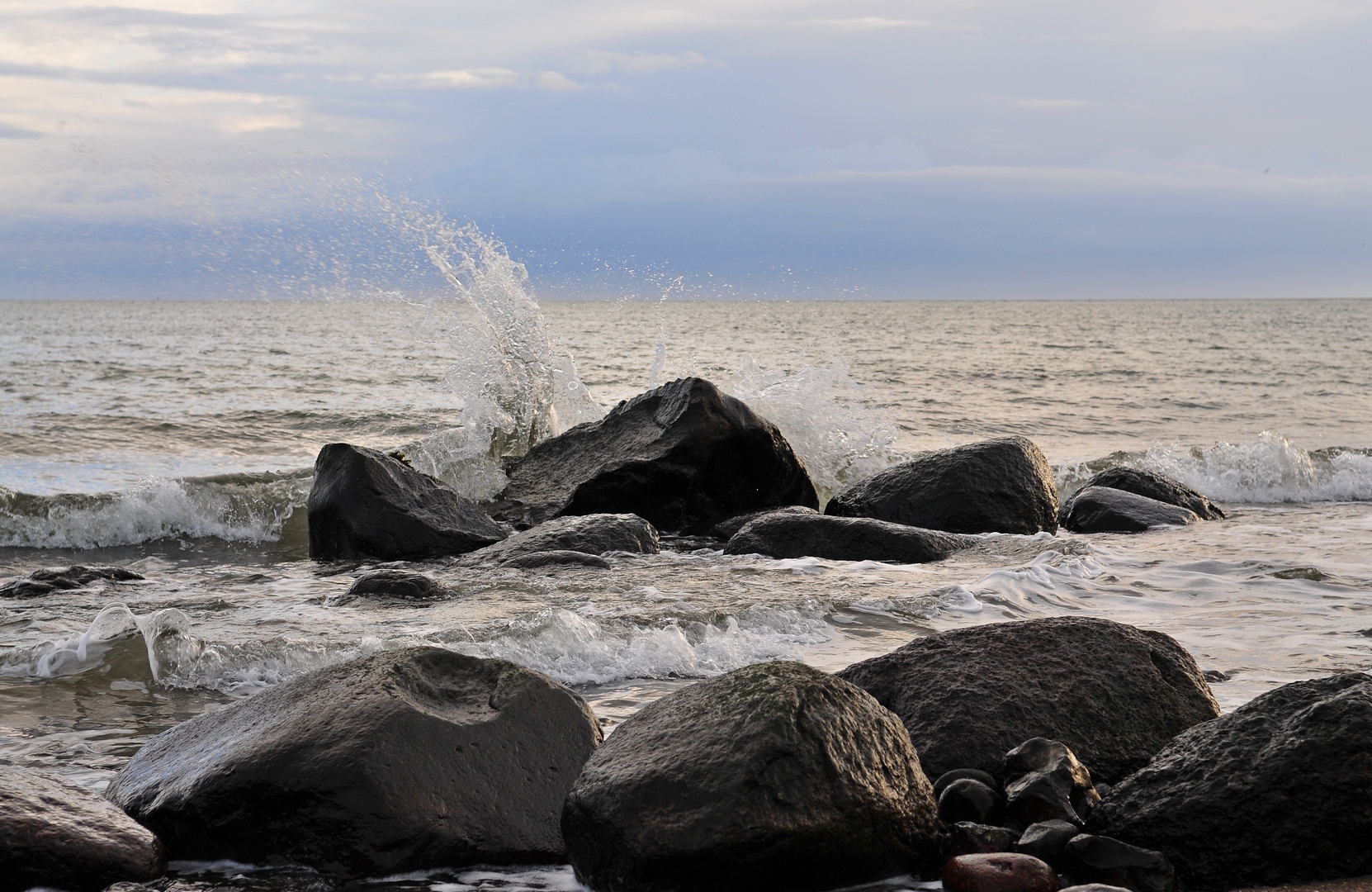 Wilde Ostsee