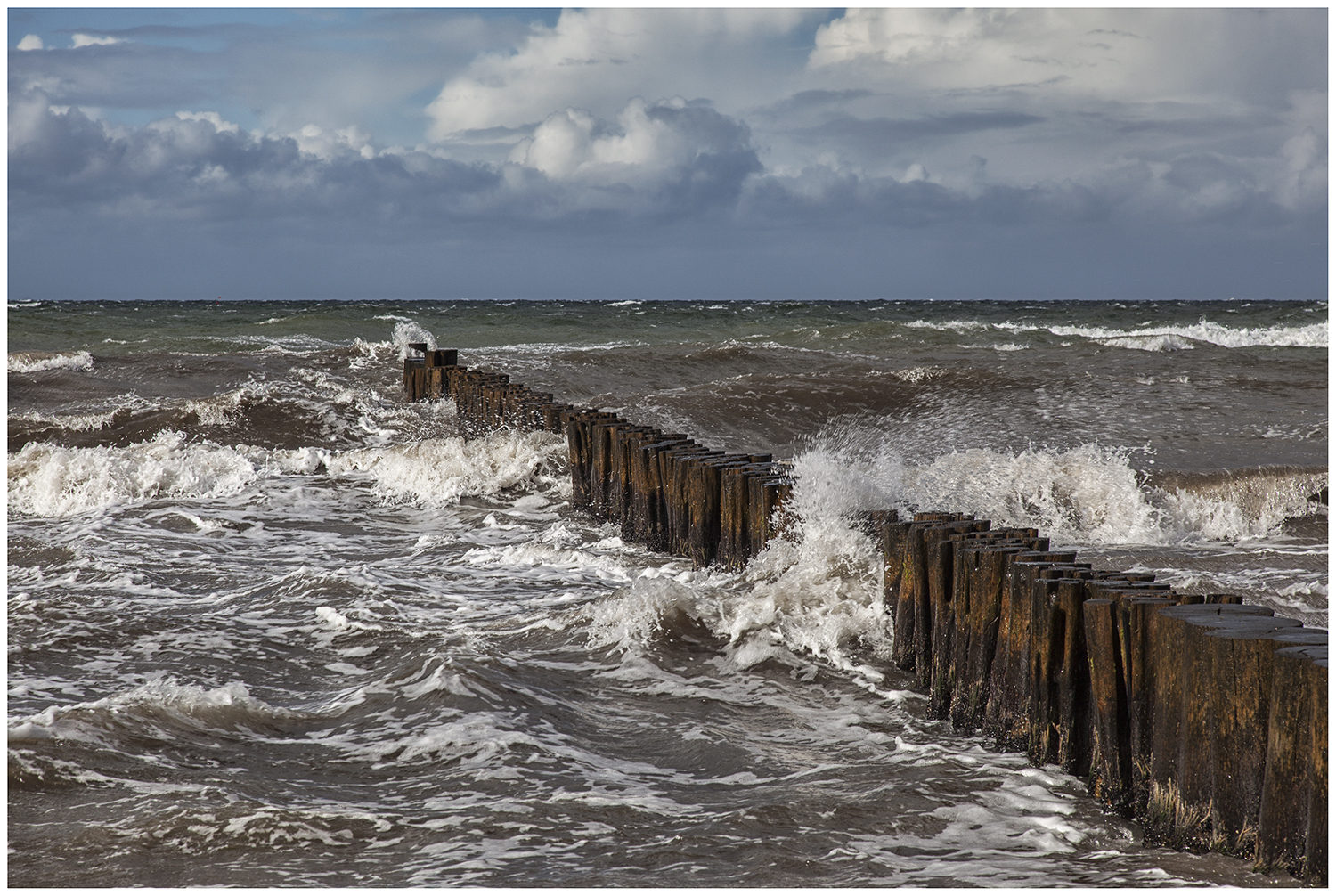 Wilde Ostsee