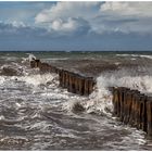 Wilde Ostsee