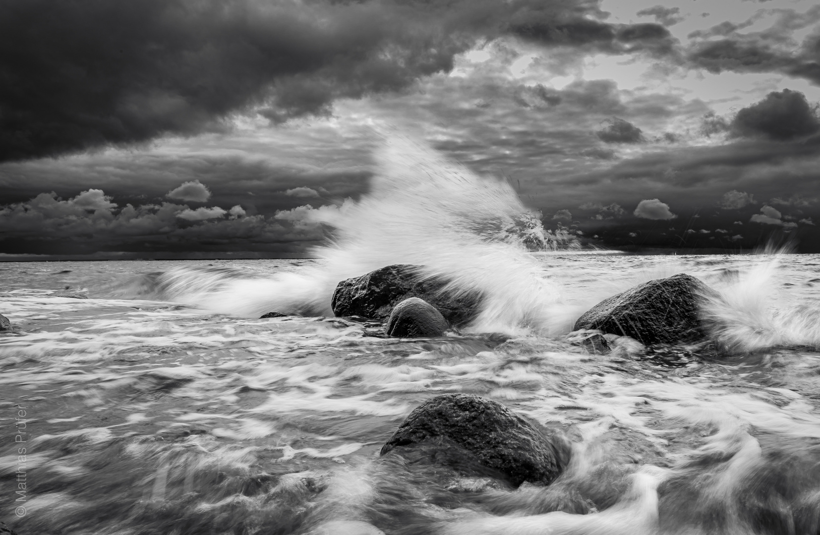 Wilde Ostsee