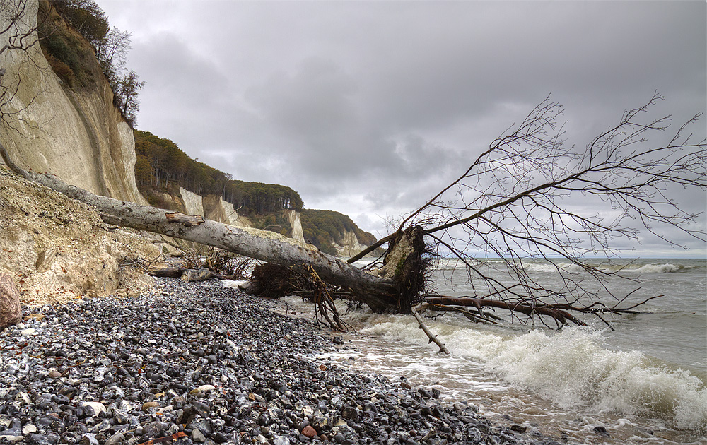 Wilde Ostsee