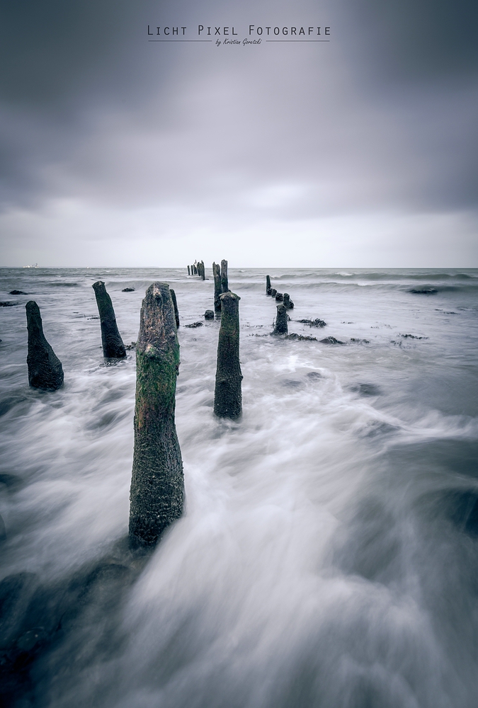 Wilde Ostsee