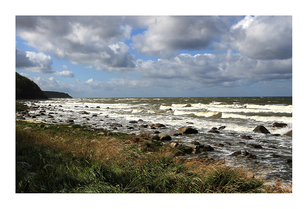 Wilde Ostsee