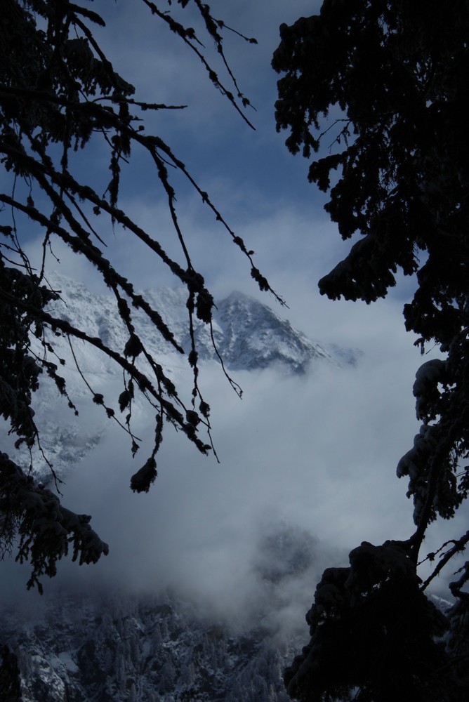 Wilde Röte Spitze