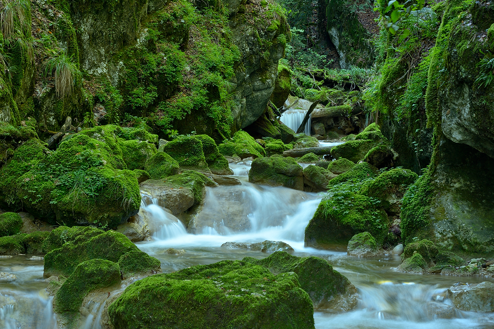 Wilde Schlucht