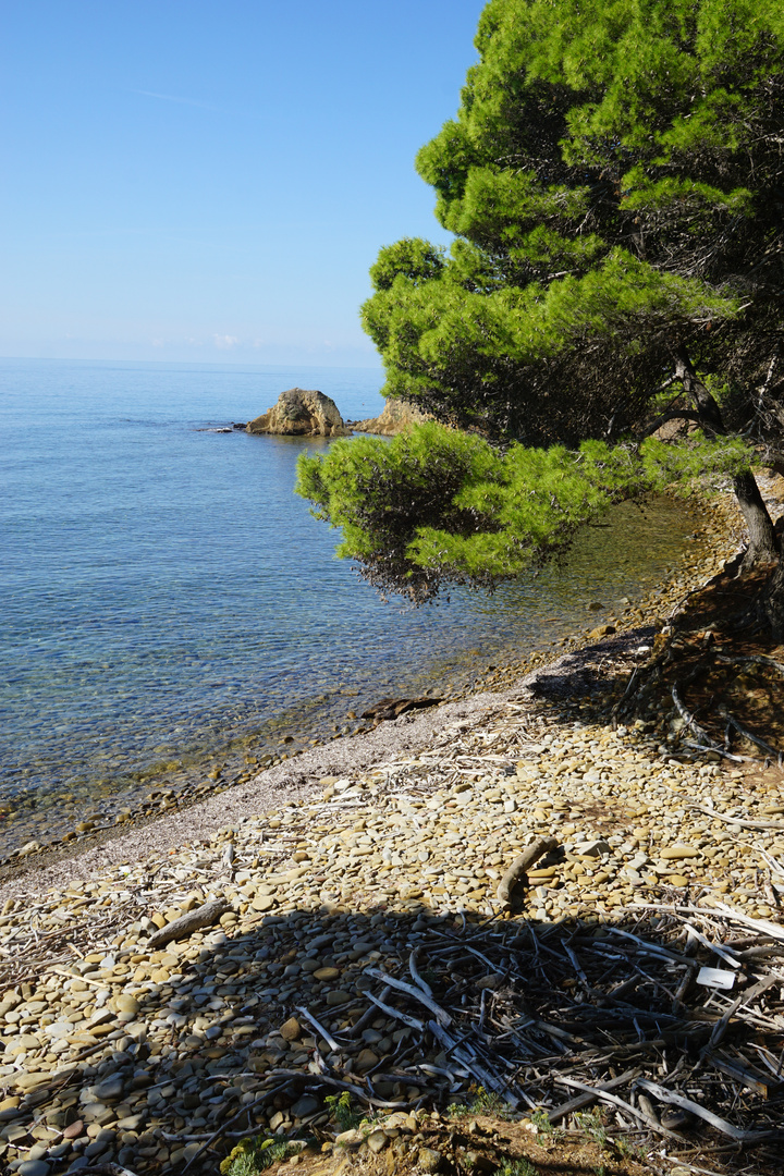 wilde schöne Küste im Cilento