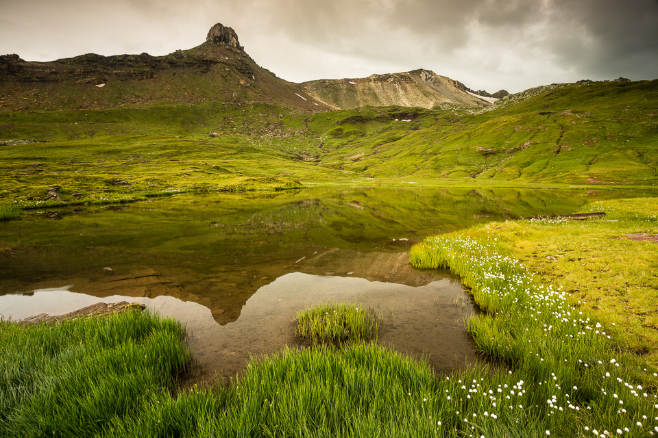 Wilde Schweiz