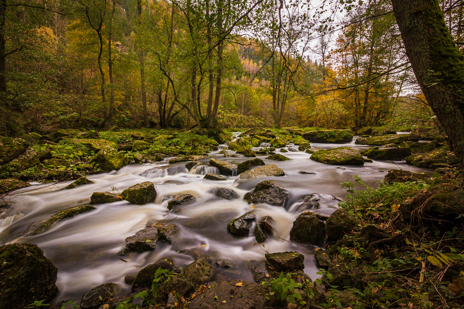 Wilde Selbitz im Höllental 