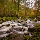 Wilde Selbitz im Höllental 