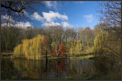 ... Wilde Spätherbstlandschaft ...