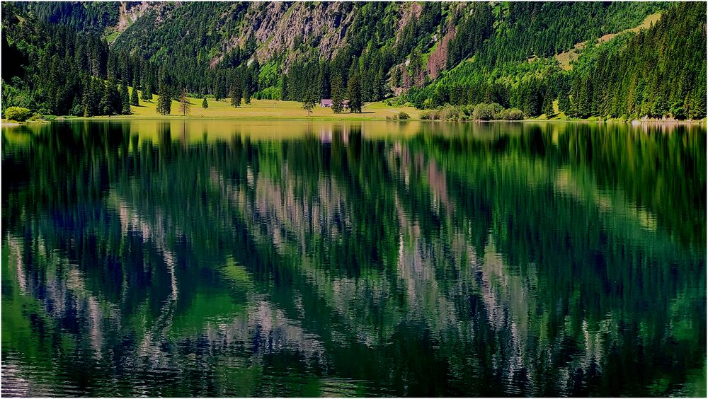 Wilde Spiegelungen