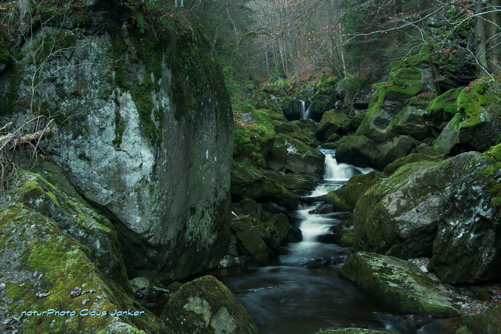 Wilde Steinklamm