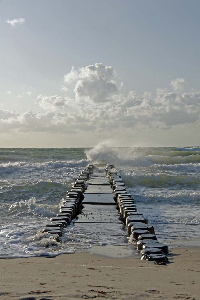 wilde stimmung in ahrenshoop