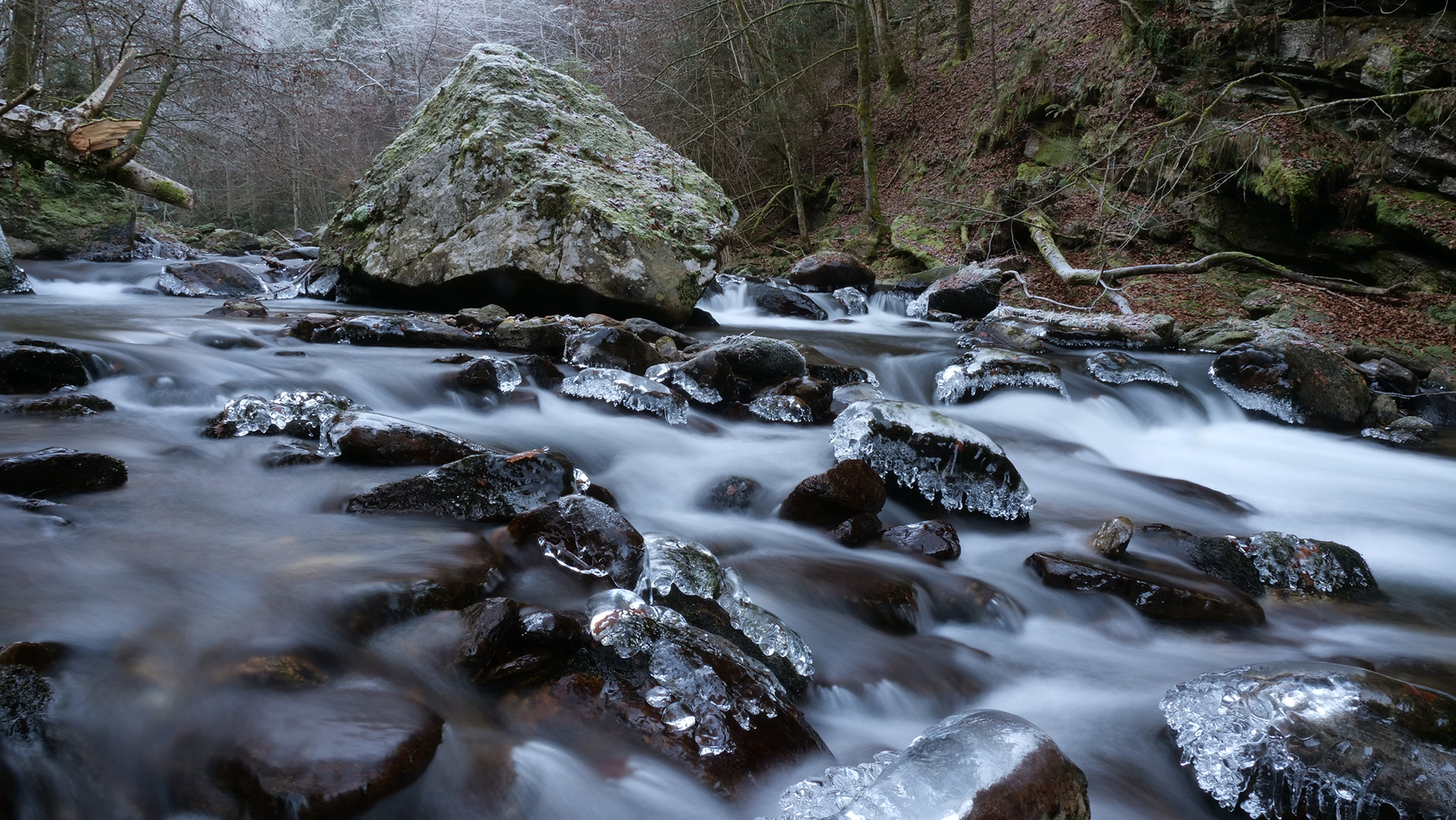 Wilde Sulm im November