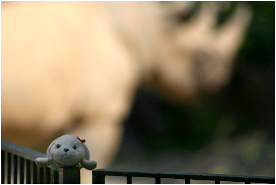 wilde tiere im leipziger zoo