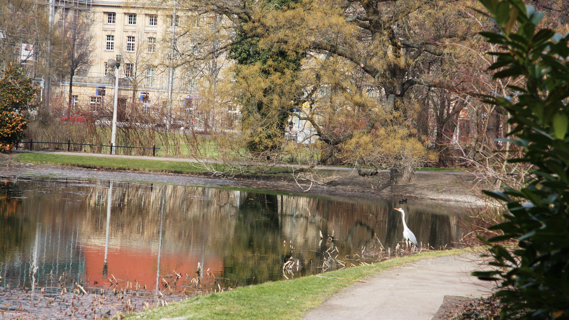 ² Wilde Tiere in der Stadt ²