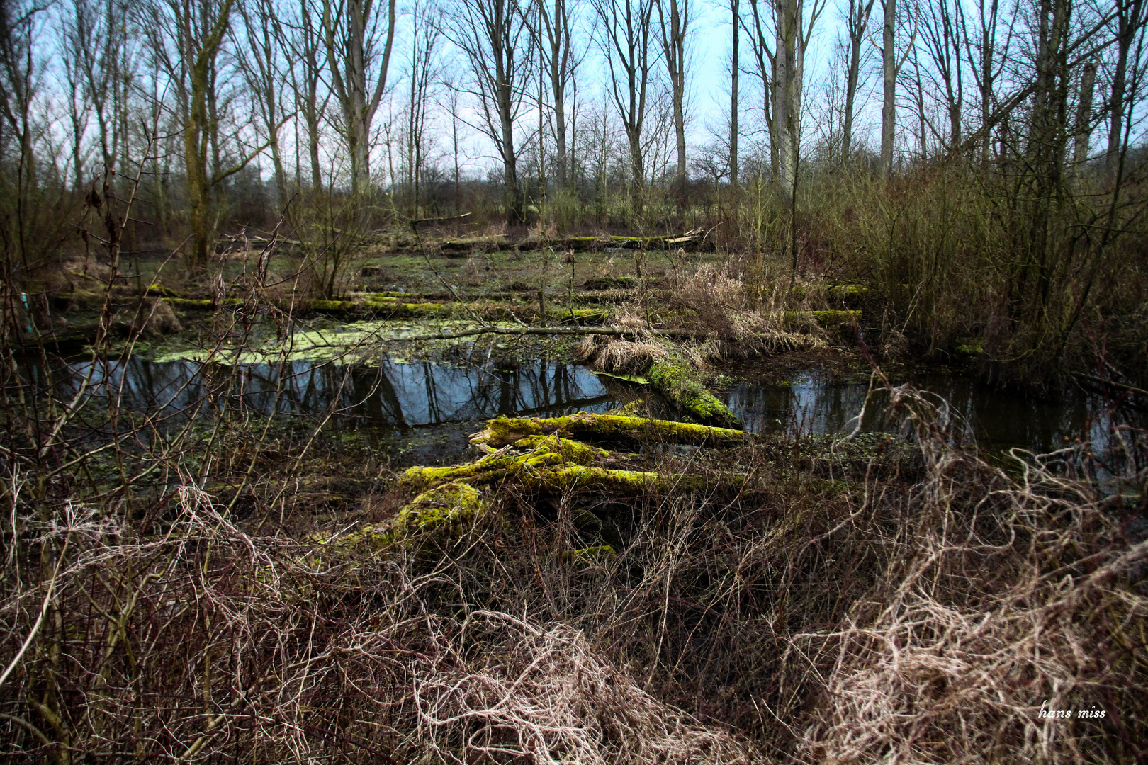 Wilde und natürliche Landschaft