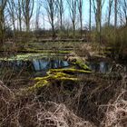 Wilde und natürliche Landschaft