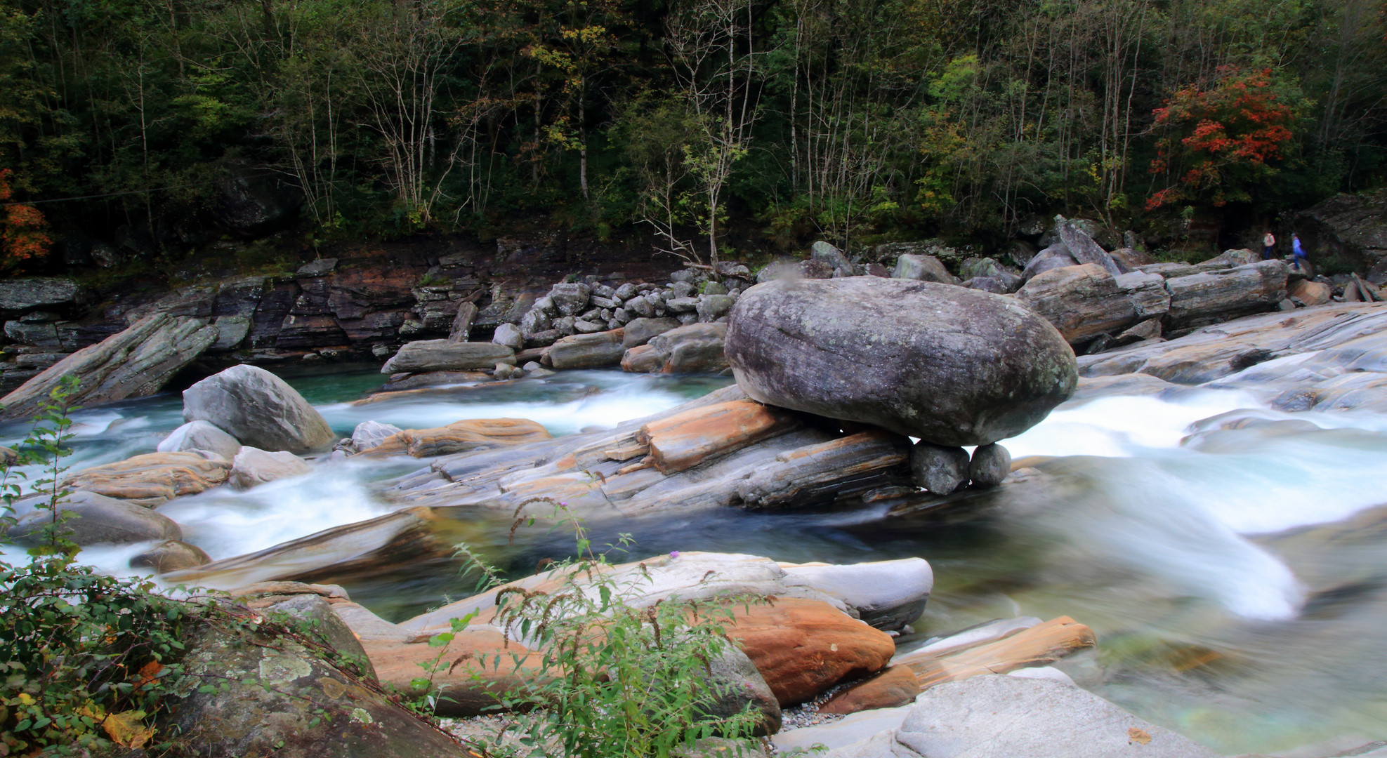 wilde Verzasca