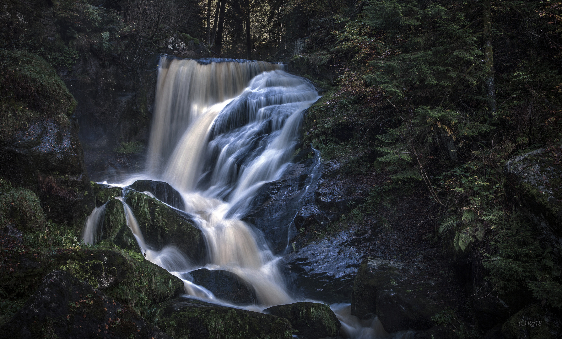 wilde wasser 