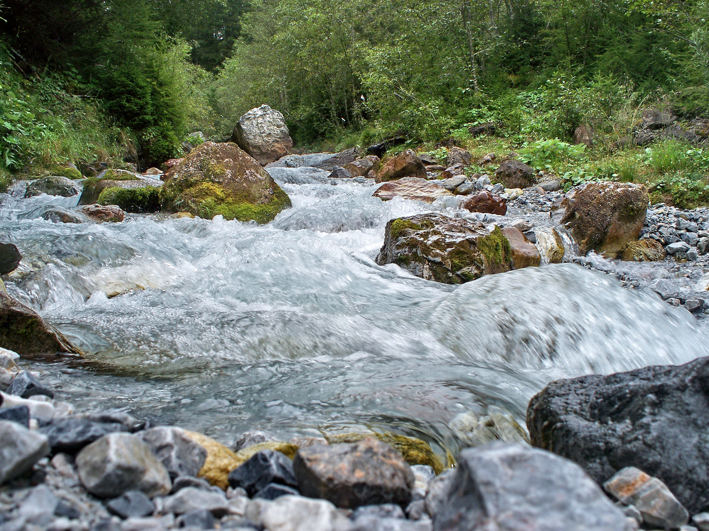 Wilde Wasser