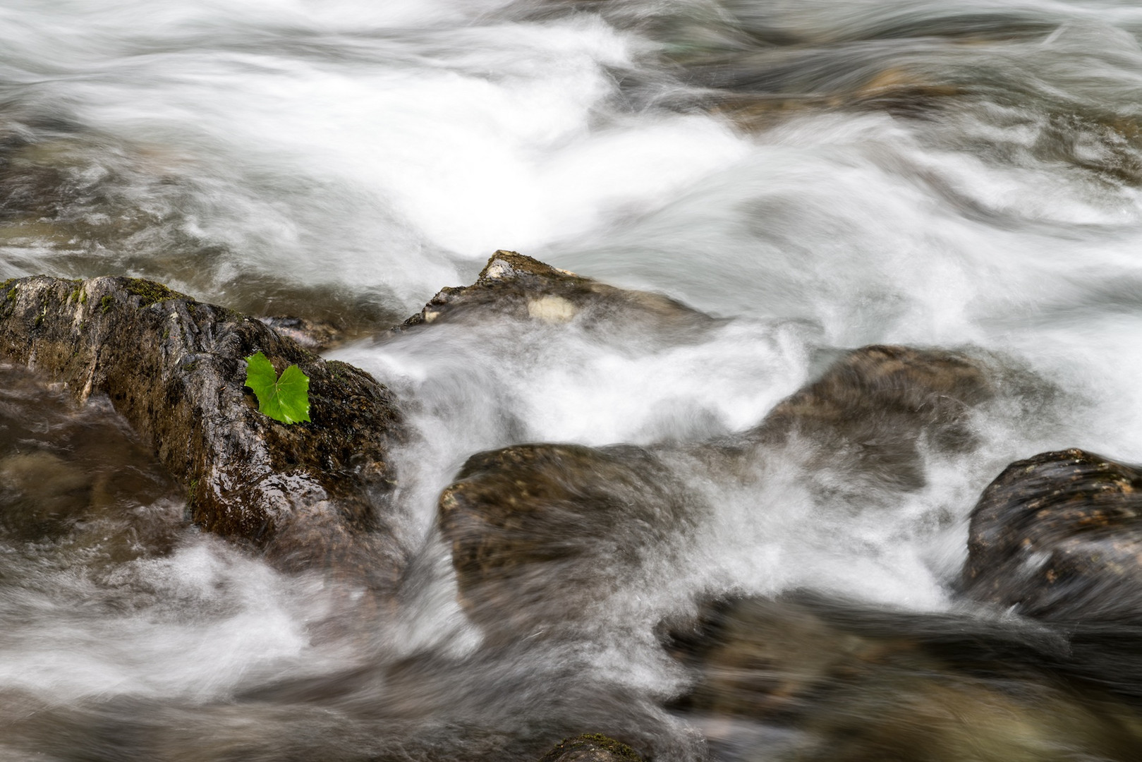 wilde Wasser