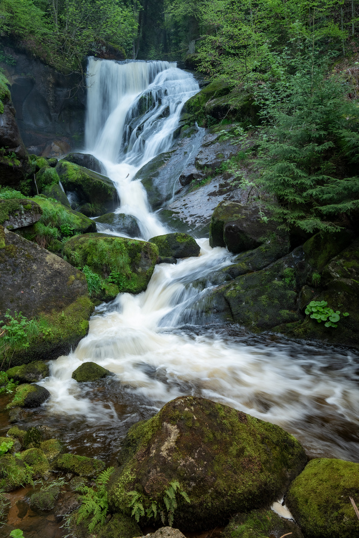 Wilde Wasser