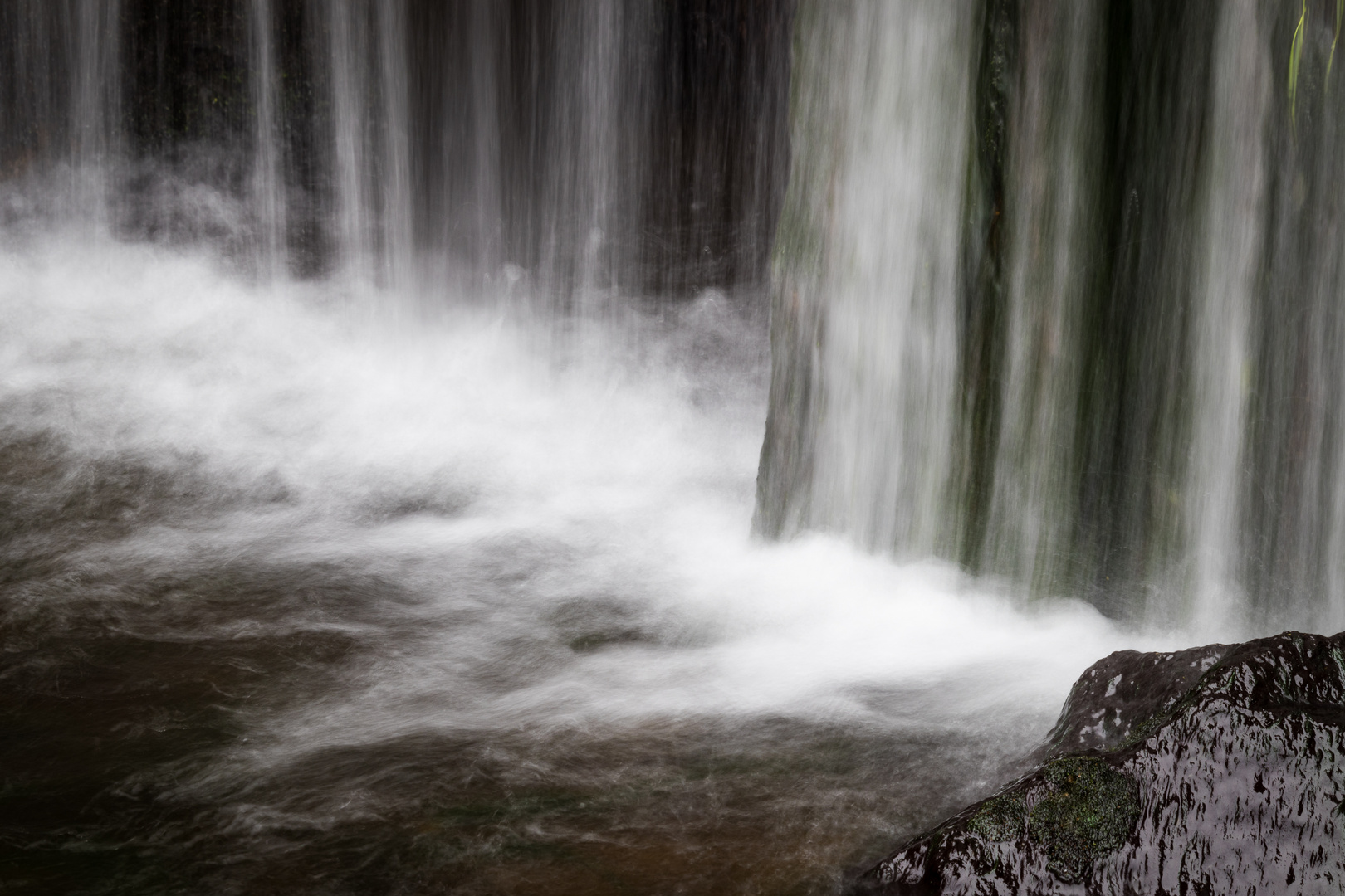 Wilde Wasser