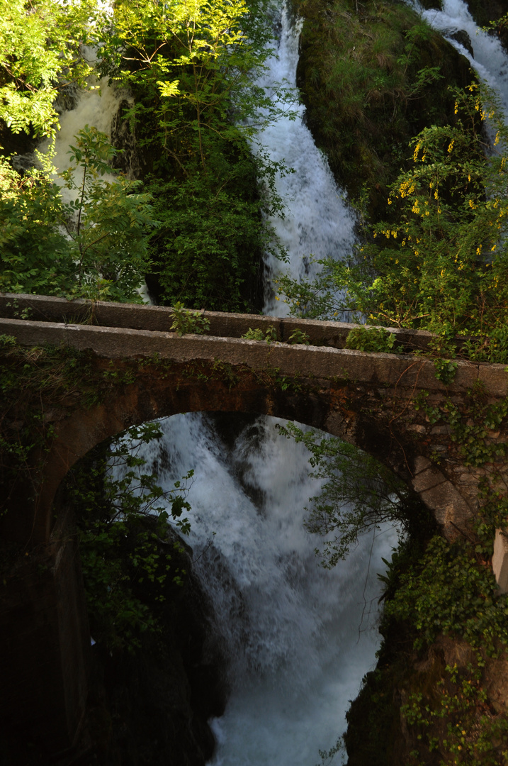 Wilde Wasser