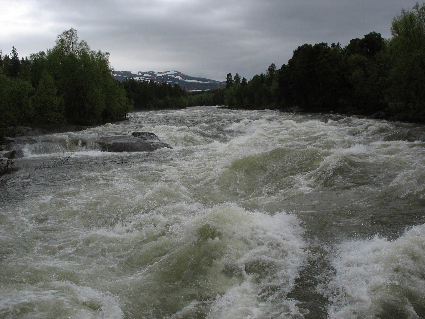 Wilde Wasser