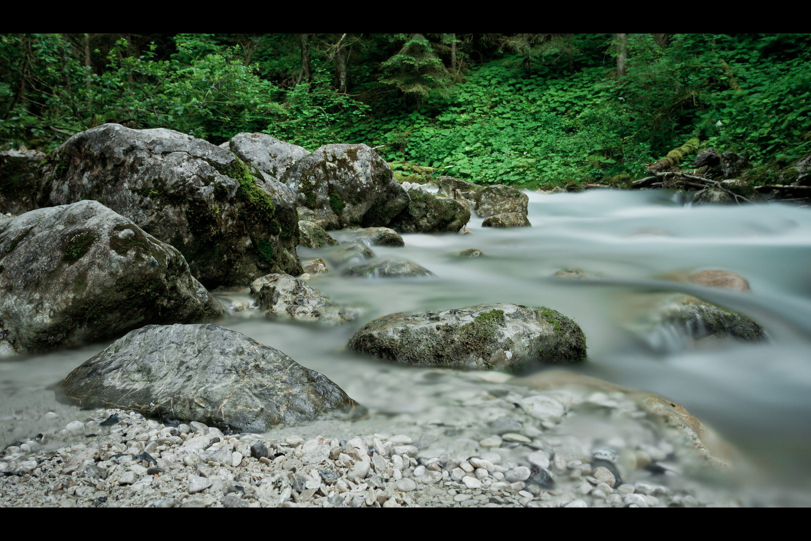 wilde wasser