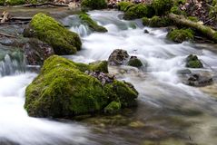 Wilde Wasser