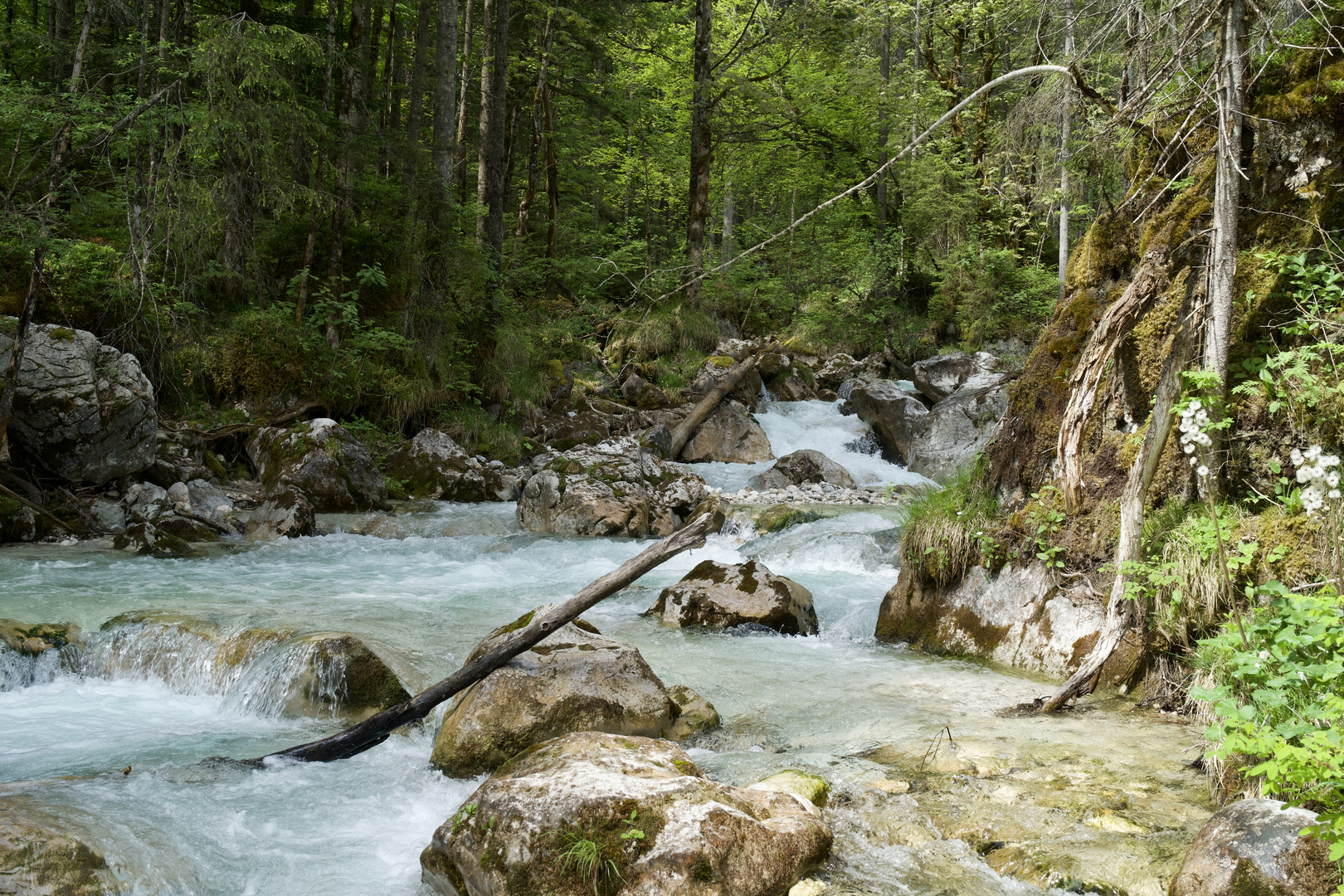 Wilde Wasser ...