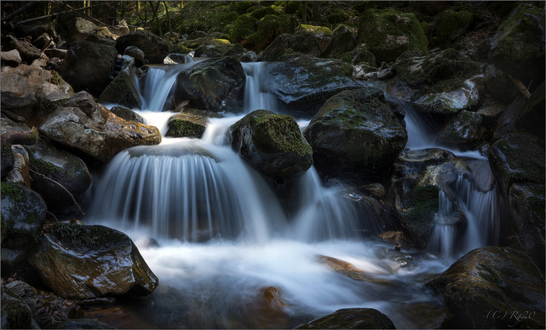 Wilde Wasser Wilde Wasser