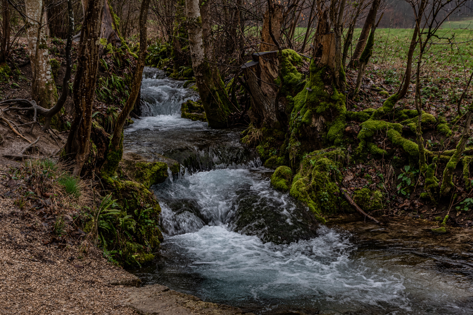 Wilde Wasser