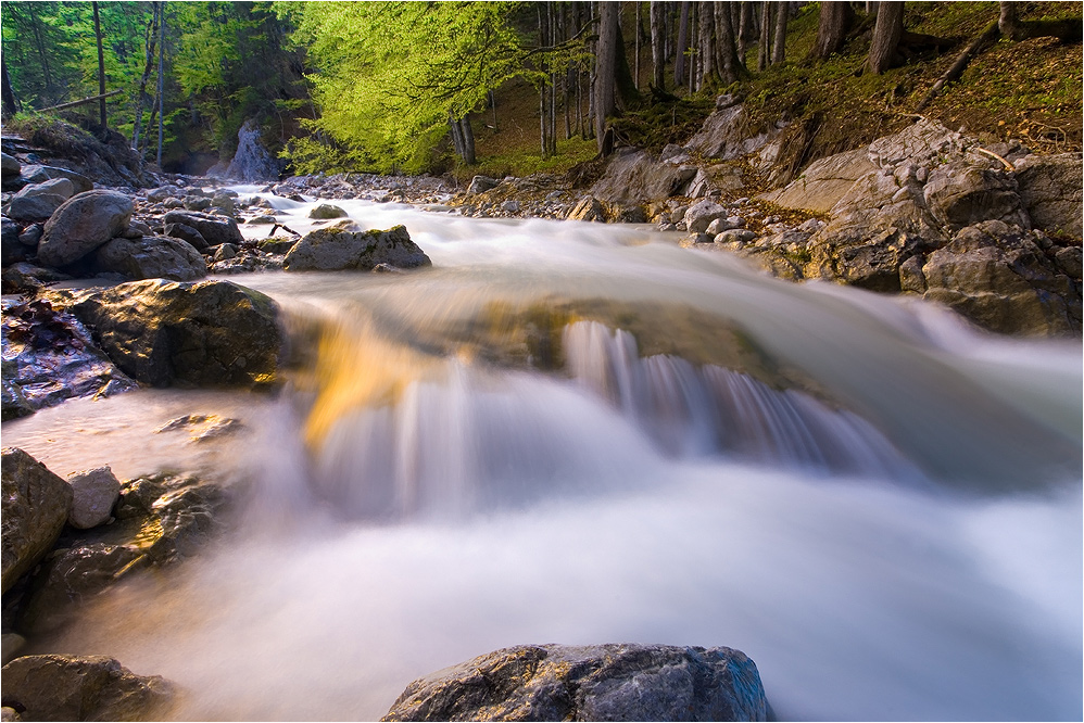 wilde wasser