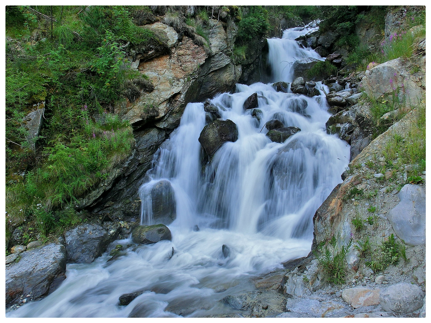 Wilde Wasser