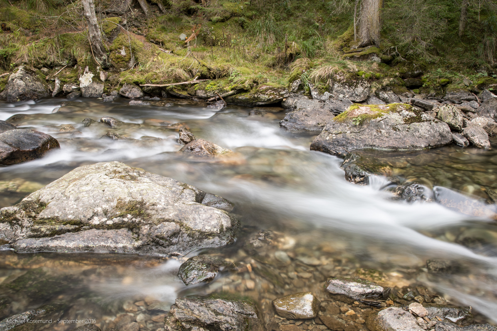 Wilde Wasser