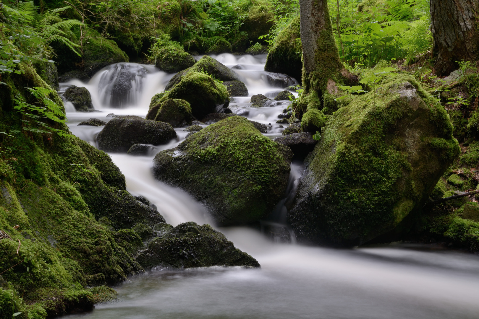 Wilde Wasser im Südschwarzwald