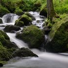 Wilde Wasser im Südschwarzwald